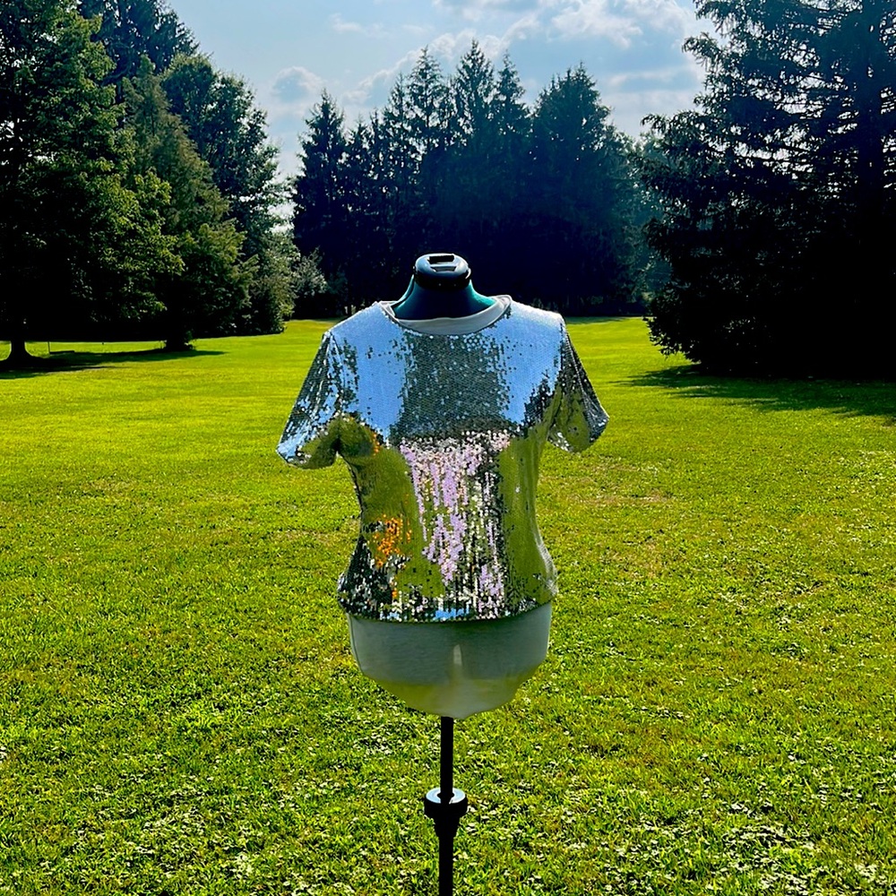 Silver sequin top. Zipper closure in back